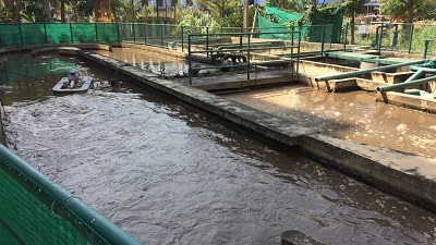 城鎮(zhèn)污水除氮除磷