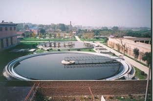 污水處理廠總氮高怎么處理（總氮超標怎么辦？）